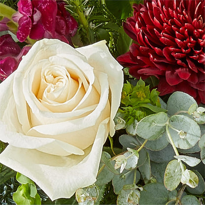 Cranberry Fizz Bouquet –  King Wholesale Flowers Co, Bradenton FL