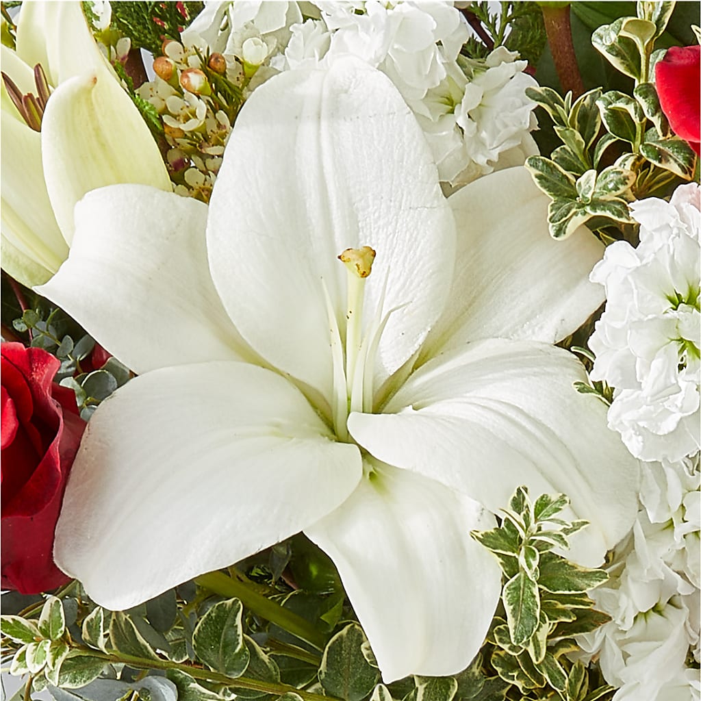 Twinkle Lights Bouquet –  King Wholesale Flowers Co, Bradenton FL