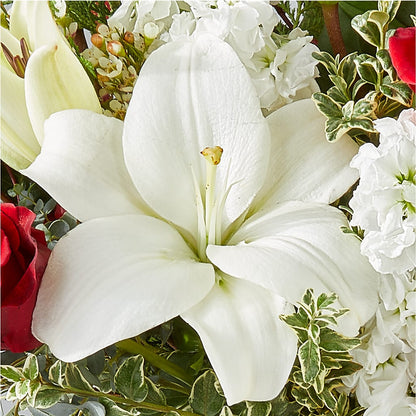 Twinkle Lights Bouquet –  King Wholesale Flowers Co, Bradenton FL
