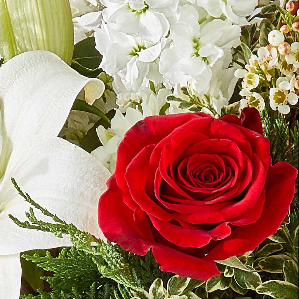 Twinkle Lights Bouquet –  King Wholesale Flowers Co, Bradenton FL