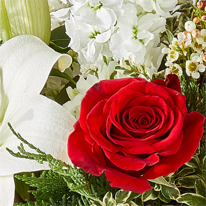 Twinkle Lights Bouquet –  King Wholesale Flowers Co, Bradenton FL