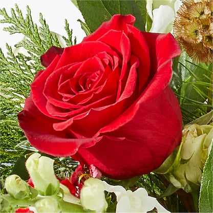 Deck the Halls Bouquet –  King Wholesale Flowers Co, Bradenton FL