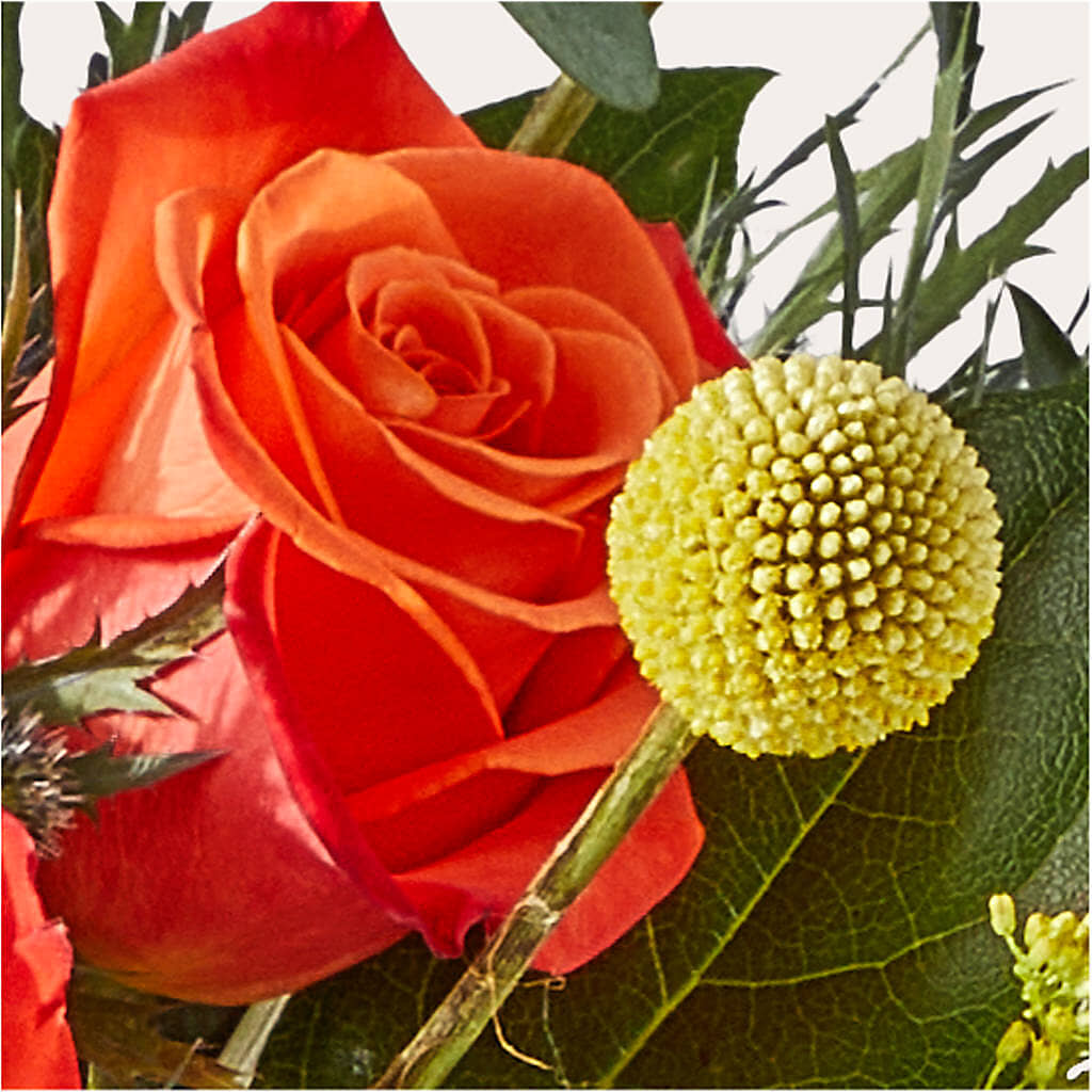 Disco Bouquet –  King Wholesale Flowers Co, Bradenton FL