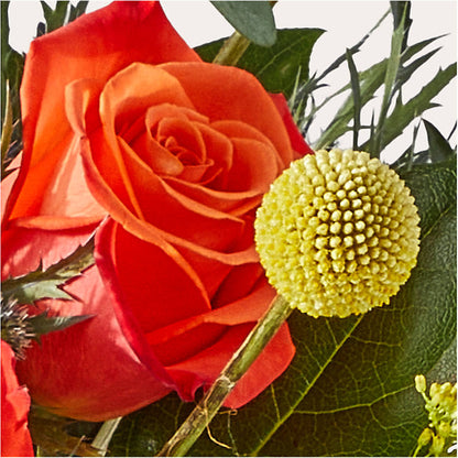Disco Bouquet –  King Wholesale Flowers Co, Bradenton FL