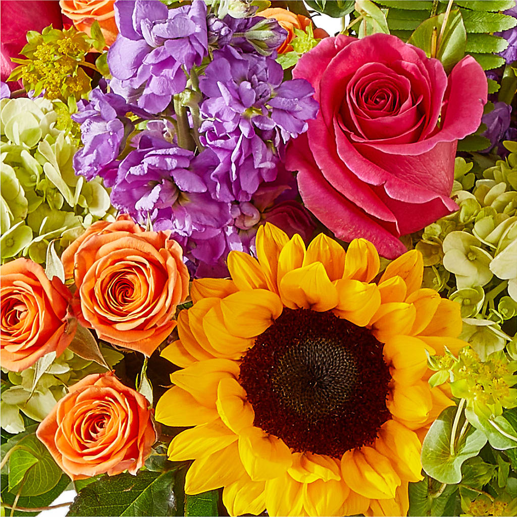 Vibrant Greetings Bouquet –  King Wholesale Flowers Co, Bradenton FL