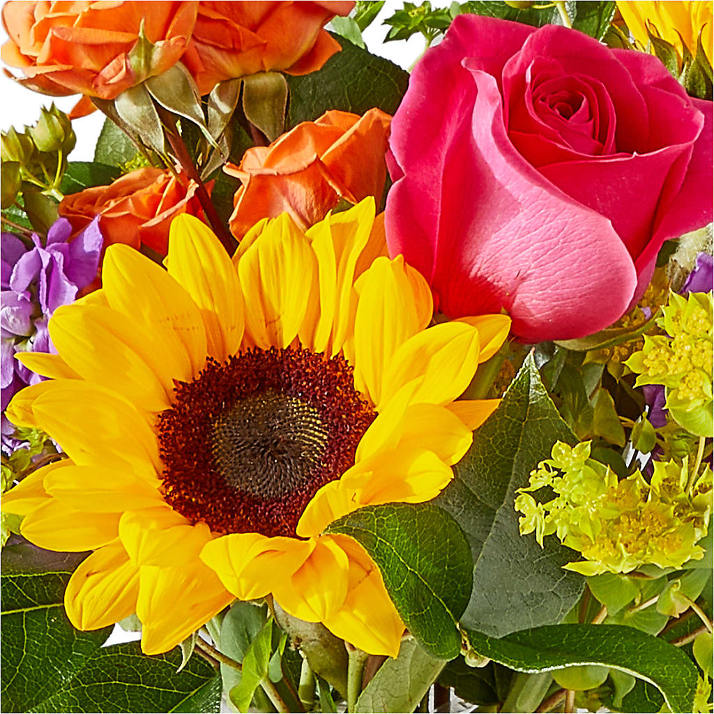 Vibrant Greetings Bouquet –  King Wholesale Flowers Co, Bradenton FL