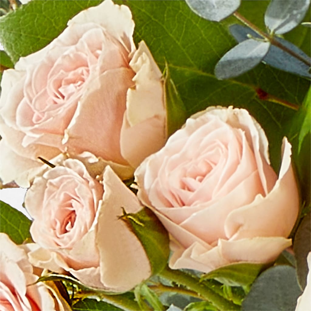 Inspired Bouquet –  King Wholesale Flowers Co, Bradenton FL