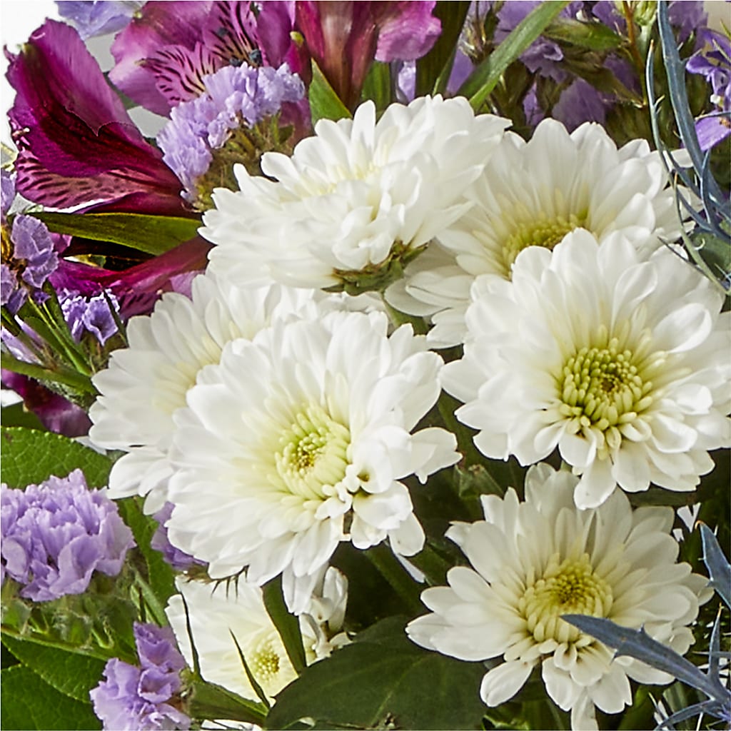 Shooting Star Bouquet –  King Wholesale Flowers Co, Bradenton FL