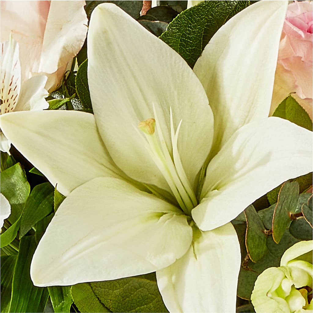 Ballet Slippers Bouquet –  King Wholesale Flowers Co, Bradenton FL