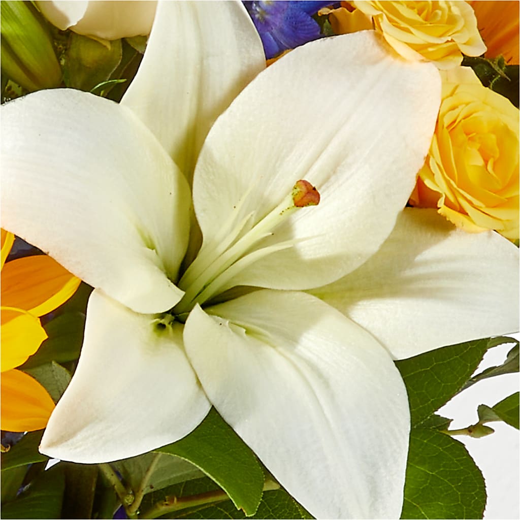 Wonderfully Sunny Bouquet –  King Wholesale Flowers Co, Bradenton FL