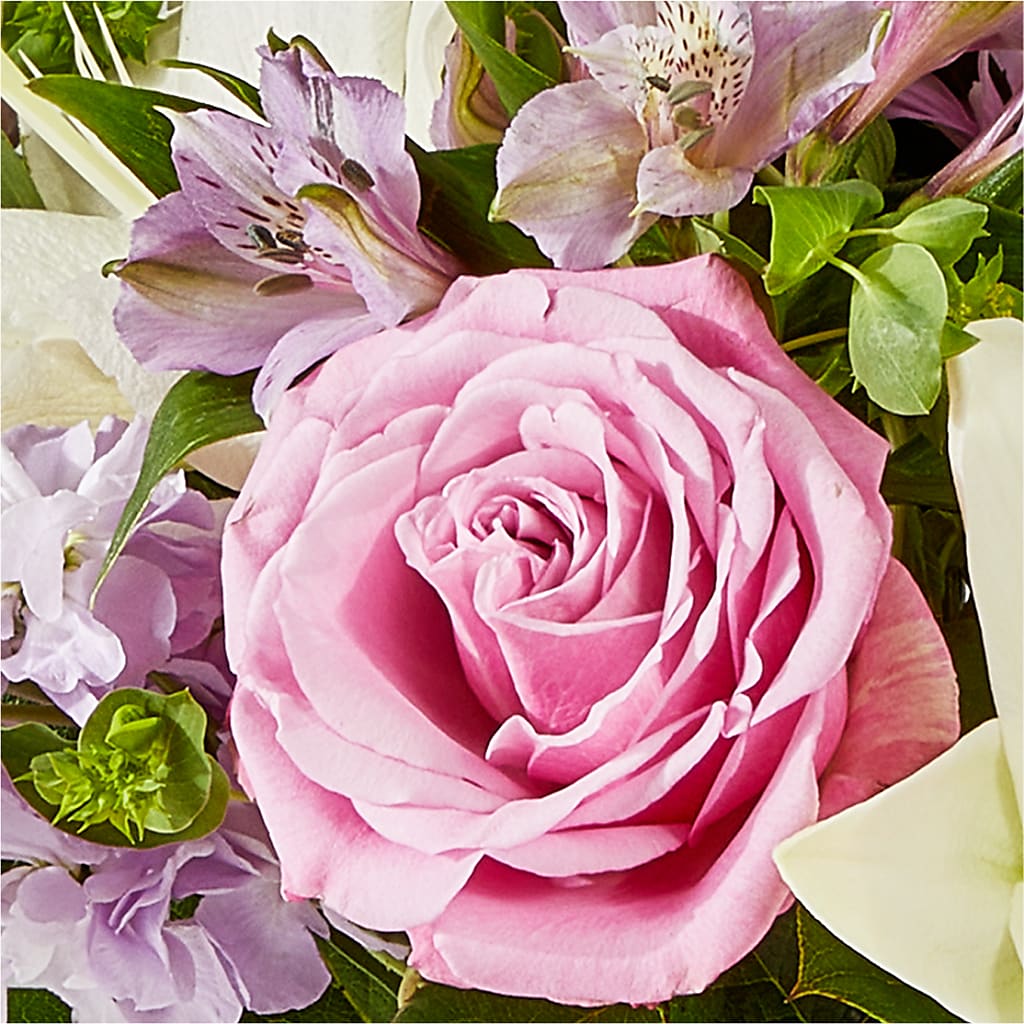 Daydreamer Bouquet –  King Wholesale Flowers Co, Bradenton FL