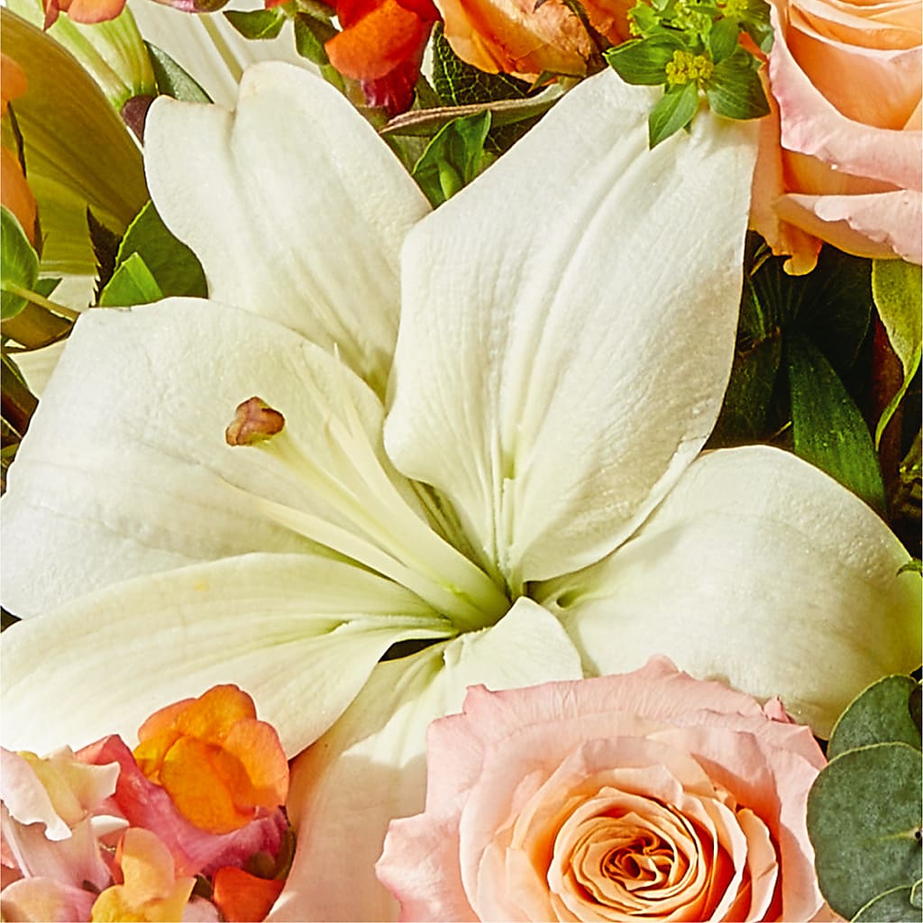 Grapefruit Splash Bouquet –  King Wholesale Flowers Co, Bradenton FL