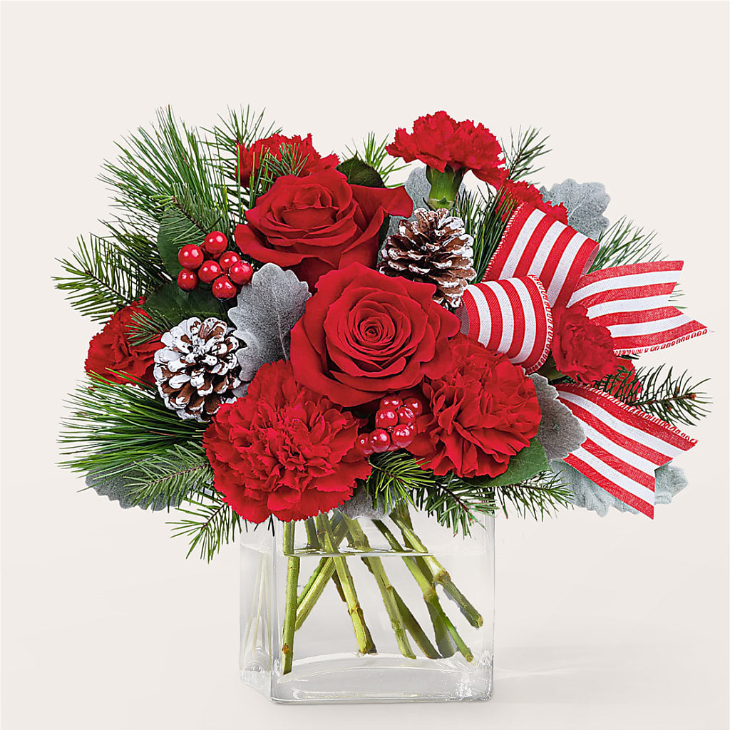 Baking Spirits Bright Bouquet –  King Wholesale Flowers Co, Bradenton FL