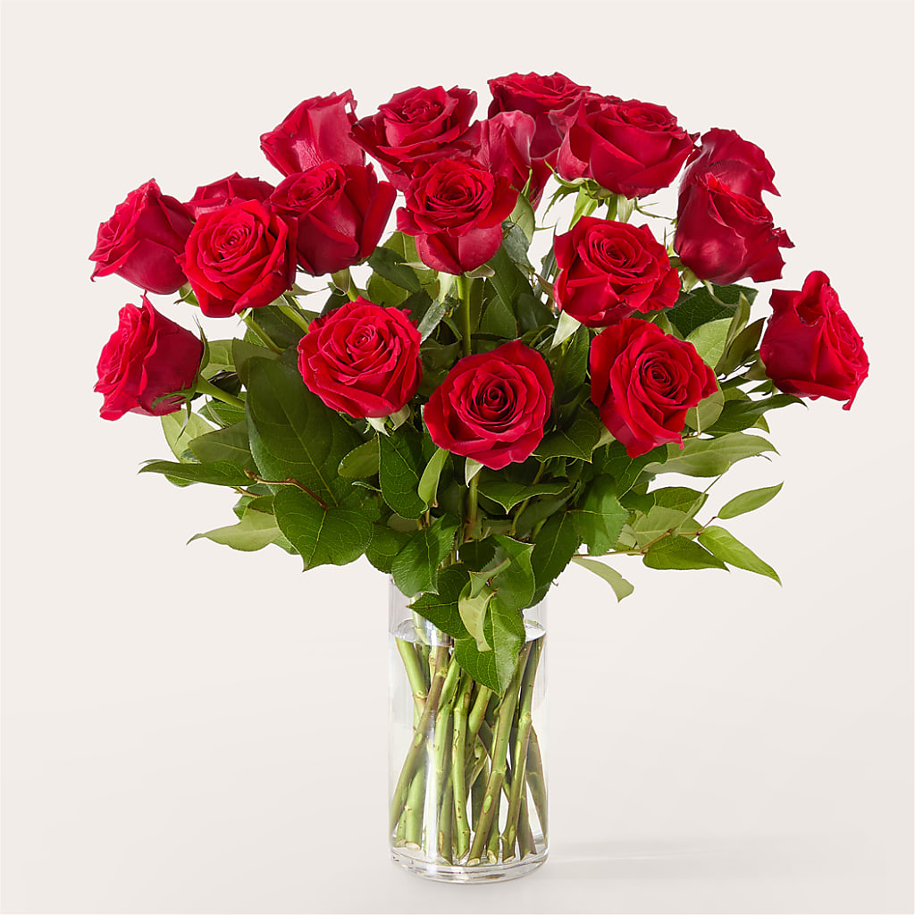 The One Red Rose Bouquet –  The Flower Place, Bradenton FL