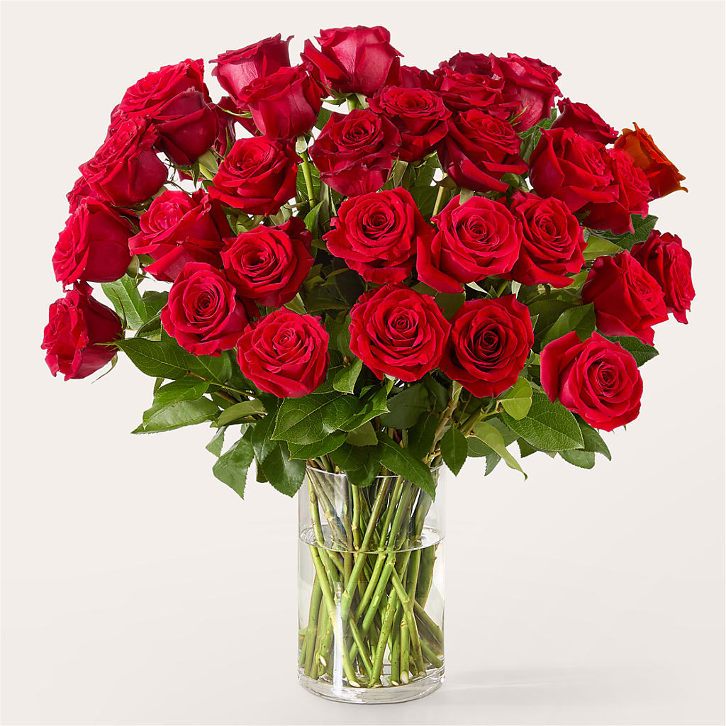The One Red Rose Bouquet –  The Flower Place, Bradenton FL