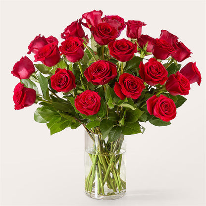 The One Red Rose Bouquet –  The Flower Place, Bradenton FL