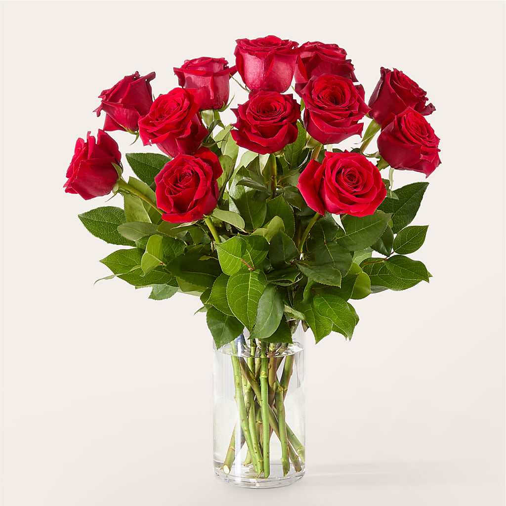 The One Red Rose Bouquet –  The Flower Place, Bradenton FL