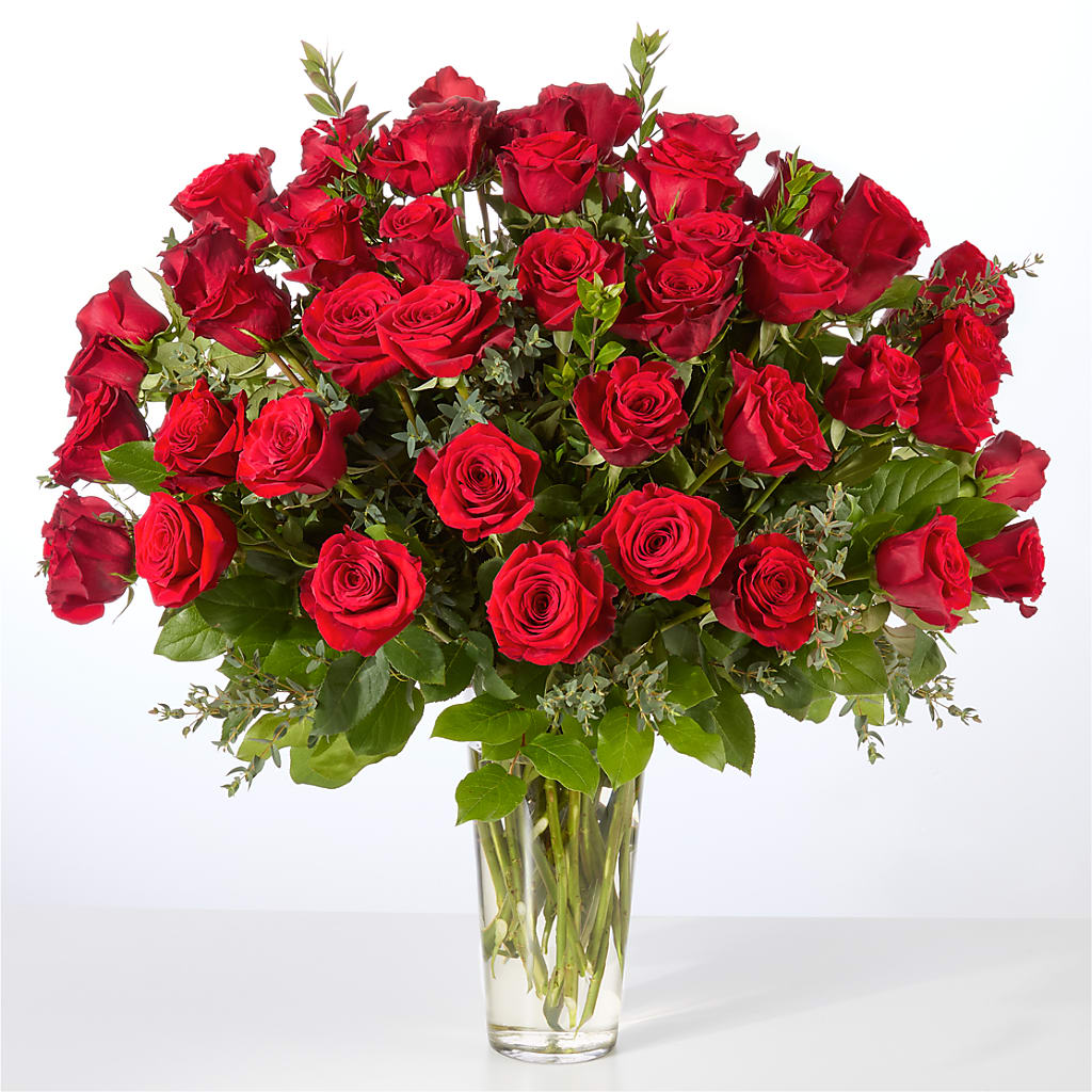 Forever Yours Fifty Stem Red Rose Bouquet –  The Flower Place, Bradenton FL