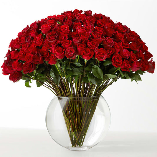 The Idealist –  The Flower Place, Bradenton FL