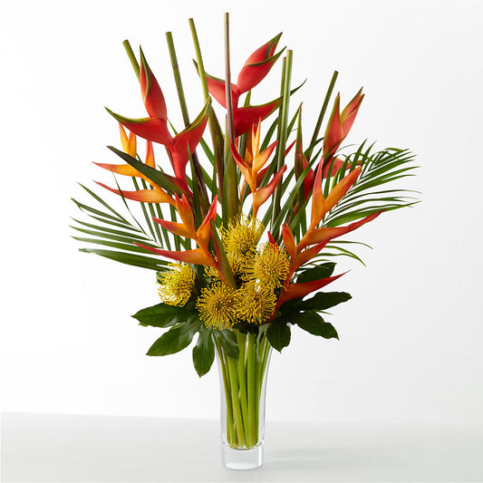 The Drama –  The Flower Place, Bradenton FL