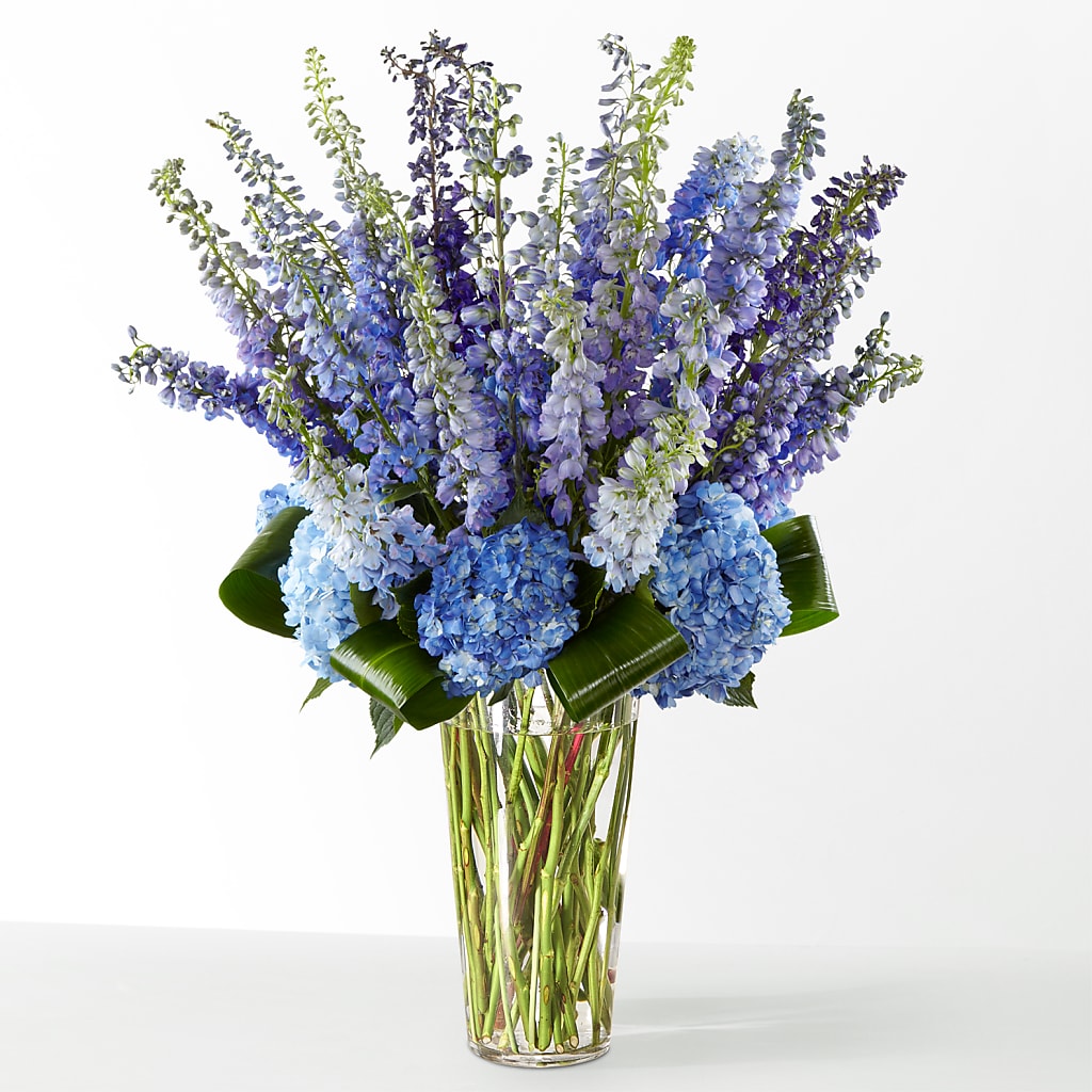 The Editorial –  The Flower Place, Bradenton FL