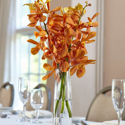 Orange Mokara Bud Vase – THE FLOWER PLACE, Bradenton FL