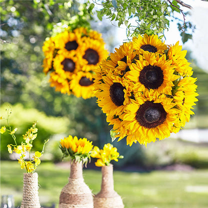 Sublime Garden Hanging Arrangement – THE FLOWER PLACE, Bradenton FL