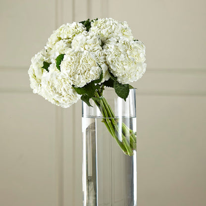 White Hydrangea Hand-Tied Bouquet – THE FLOWER PLACE, Bradenton FL