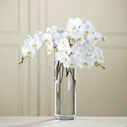 White Phalaenopsis Bouquet – THE FLOWER PLACE, Bradenton FL