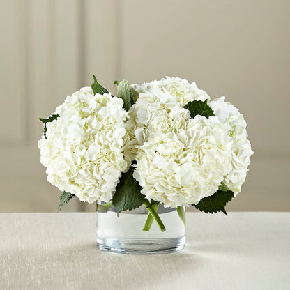 White Hydrangea Bouquet – THE FLOWER PLACE, Bradenton FL